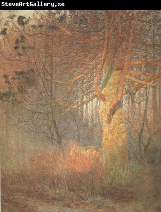 Emile Claus Tree in the Sun (nn02)